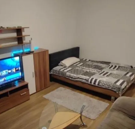 Gemuetliches Appartement Dresden